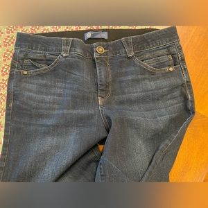 DEMOCRACY Natalie Ab Solution Straight Leg Jean